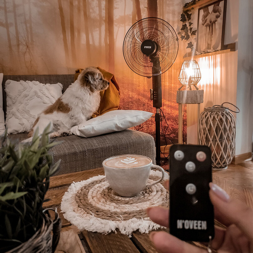 NOVEEN F455 stojanový ventilátor 55W čierny