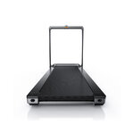 WalkingPad X23