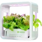 SmartPot Aspara GrowGreen