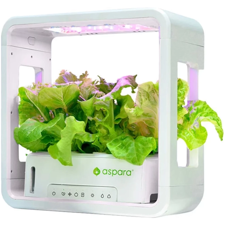 SmartPot Aspara GrowGreen