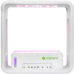 SmartPot Aspara GrowGreen