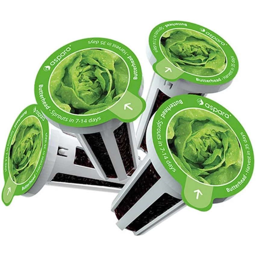 SmartPot Aspara GrowGreen - šalát