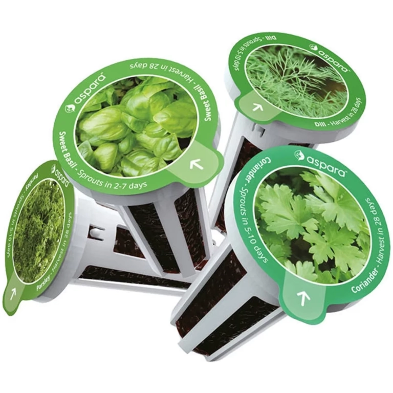 SmartPot Aspara GrowGreen - bylinky
