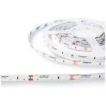Modee LED pás 5m biely IP65 6000K