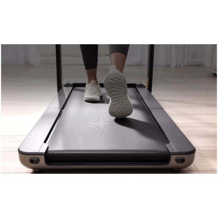 WalkingPad X21 black