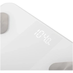 Adler AD 8186 smart osobná váha biela