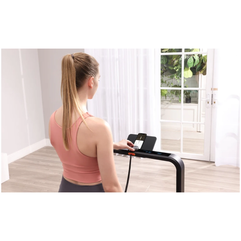 WalkingPad X21 black