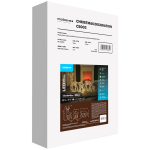 Modee Lighting LED dekorácia C5003 soby